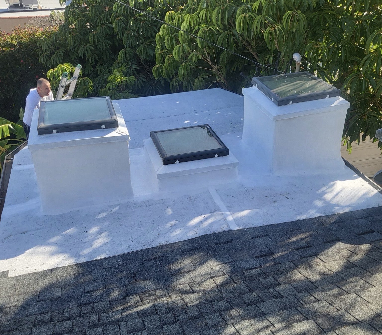 Robert Clark project photo 8
